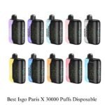 Isgo Paris X 30000 Puffs