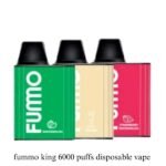 Fummo King 6000 Puffs