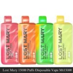 Lost Mary 15000 Puffs Disposable Vape