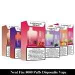Nerd Fire 8000 Puffs Disposable Vape